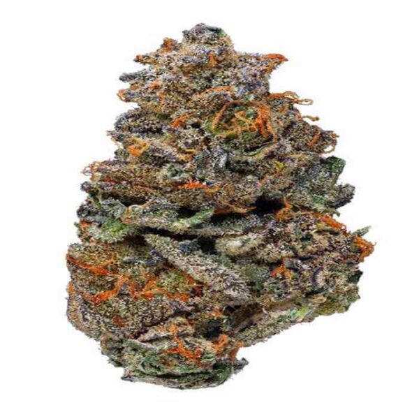 Girl Scout Cookies