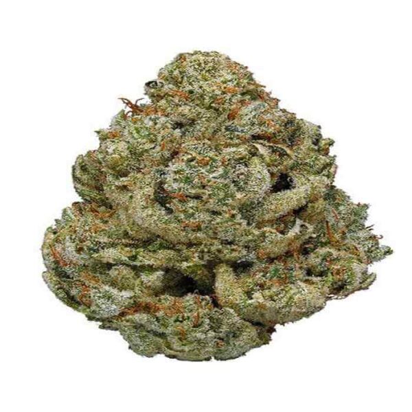 Gorilla Glue for sale 